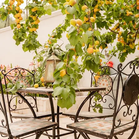 Dimora Le Camelie Vieste