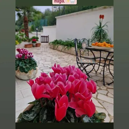 Apartman Dimora Le Camelie *