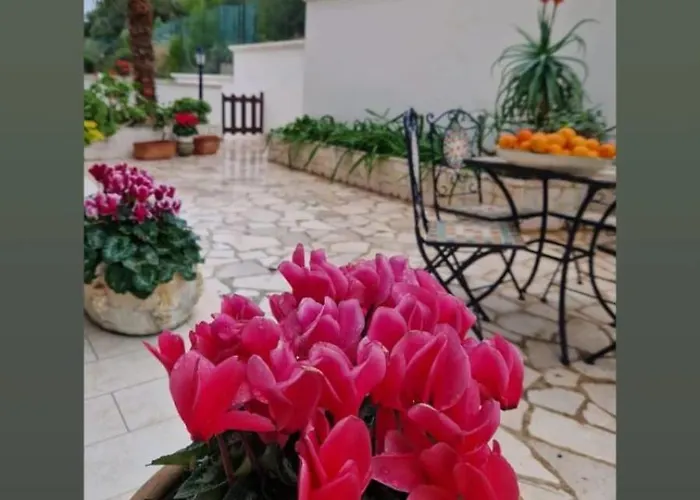 דירה Dimora Le Camelie *